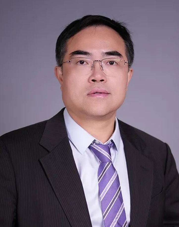 CEC2024 | 史振宇教授：股腘动脉支再闭塞的腔内治疗 策略与实践