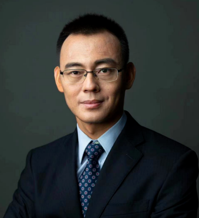 CEC2024 | 李磊教授：髂动脉联合股浅动脉病变的治疗策略 及并发症处理