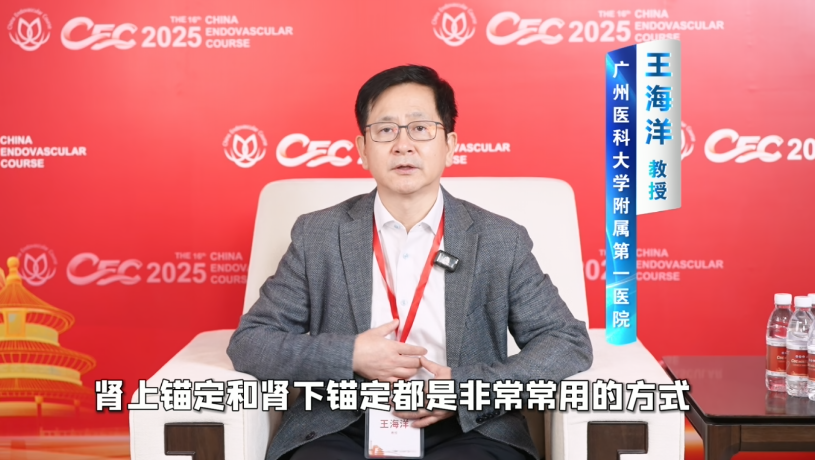 CEC 2025 | 王海洋教授专访：EVAR锚定区决策、肾动脉开窗技术与副肾动脉保留策略全解析