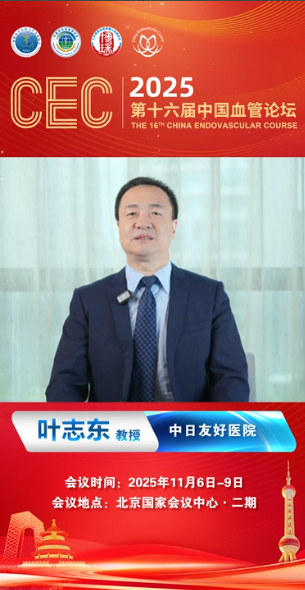 叶志东教授|CEC 2025大会致辞