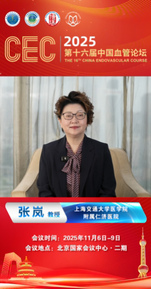 张岚教授|CEC 2025大会致辞