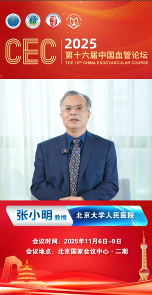 张小明教授|CEC2025大会致辞