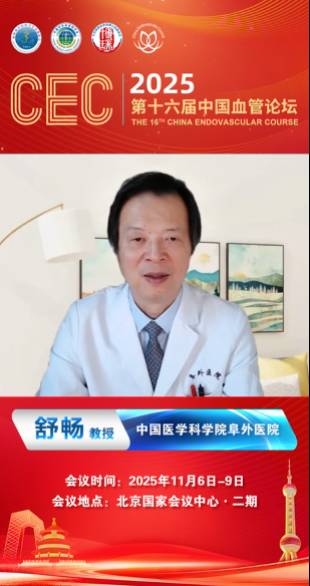 舒畅教授|CEC2025大会致辞