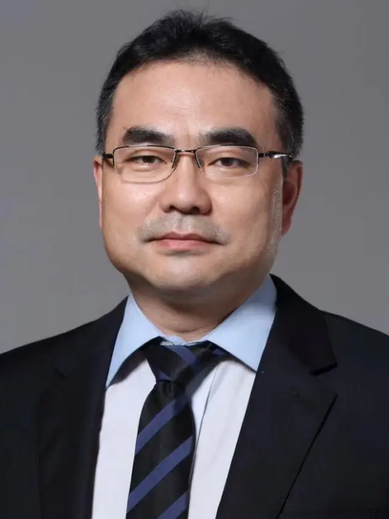 CEC2024 | 陈兵教授：术前规划对主动脉夹层治疗的影响