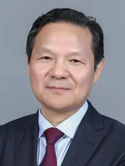 CEC2024 | 李晓强教授：做好涉及内脏区主动脉瘤的开窗分支支架手术