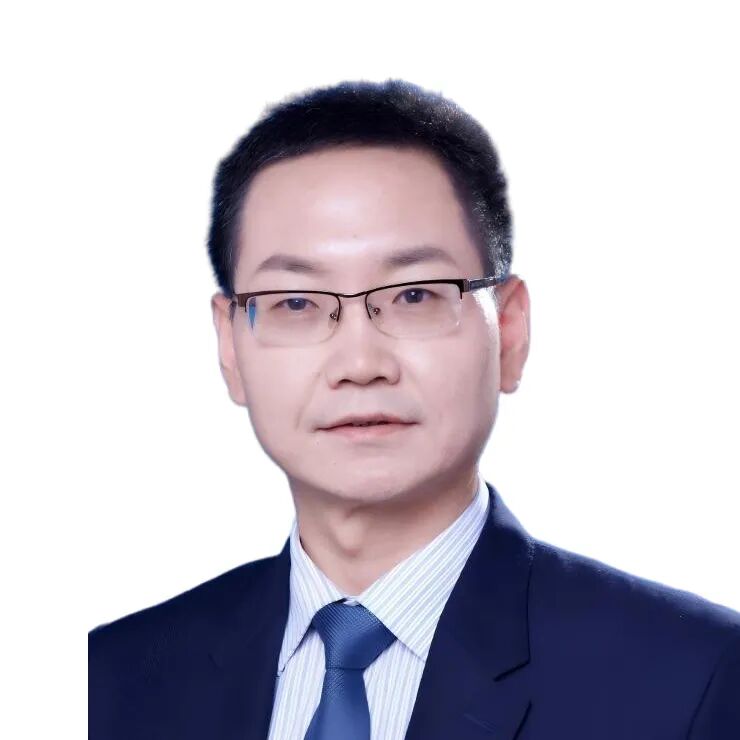 CEC 2025 | 董红霖教授：医师改良型覆膜与商用胸主动脉覆膜支架应用---回顾与思考